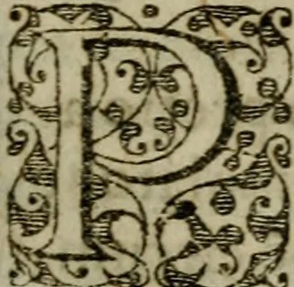 An illustration from Historia navigationis in Brasiliam quae et America dicitvr : qua describitvr avthoris navigatio, quaeque in mari vidit memoriae prodenda, Villagagnonis in America gesta : Brasiliensium victus & mores, à nostris admodum alieni, cum eorum linguae dialogo : animalia etiam, arbores atque herbae, reliquaque singularia & nobis penitus incognita, 1594, leaf 174