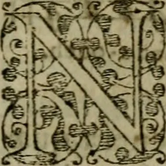 An illustration from Historia navigationis in Brasiliam quae et America dicitvr : qua describitvr avthoris navigatio, quaeque in mari vidit memoriae prodenda, Villagagnonis in America gesta : Brasiliensium victus & mores, à nostris admodum alieni, cum eorum linguae dialogo : animalia etiam, arbores atque herbae, reliquaque singularia & nobis penitus incognita, 1594, leaf 202