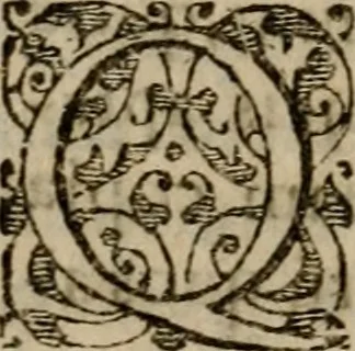 An illustration from Historia navigationis in Brasiliam quae et America dicitvr : qua describitvr avthoris navigatio, quaeque in mari vidit memoriae prodenda, Villagagnonis in America gesta : Brasiliensium victus & mores, à nostris admodum alieni, cum eorum linguae dialogo : animalia etiam, arbores atque herbae, reliquaque singularia & nobis penitus incognita, 1594, leaf 209