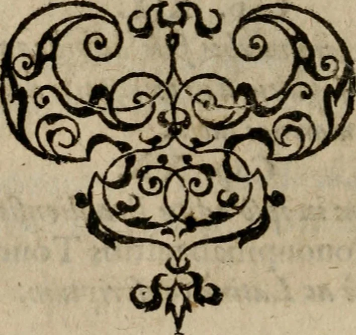 An illustration from Historia navigationis in Brasiliam quae et America dicitvr : qua describitvr avthoris navigatio, quaeque in mari vidit memoriae prodenda, Villagagnonis in America gesta : Brasiliensium victus & mores, à nostris admodum alieni, cum eorum linguae dialogo : animalia etiam, arbores atque herbae, reliquaque singularia & nobis penitus incognita, 1594, leaf 21