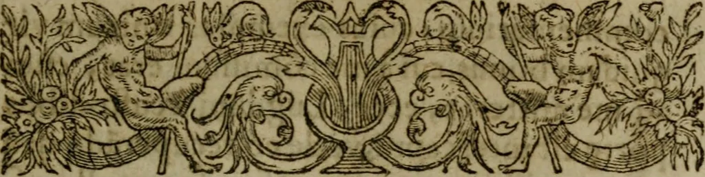 An illustration from Historia navigationis in Brasiliam quae et America dicitvr : qua describitvr avthoris navigatio, quaeque in mari vidit memoriae prodenda, Villagagnonis in America gesta : Brasiliensium victus & mores, à nostris admodum alieni, cum eorum linguae dialogo : animalia etiam, arbores atque herbae, reliquaque singularia & nobis penitus incognita, 1594, leaf 22