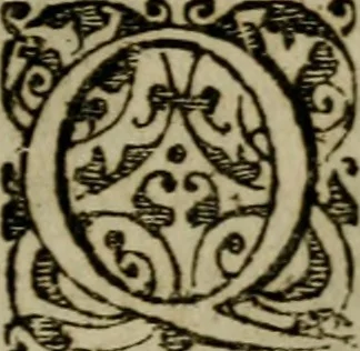 An illustration from Historia navigationis in Brasiliam quae et America dicitvr : qua describitvr avthoris navigatio, quaeque in mari vidit memoriae prodenda, Villagagnonis in America gesta : Brasiliensium victus & mores, à nostris admodum alieni, cum eorum linguae dialogo : animalia etiam, arbores atque herbae, reliquaque singularia & nobis penitus incognita, 1594, leaf 232