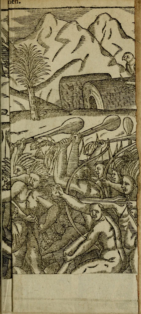 An illustration from Historia navigationis in Brasiliam quae et America dicitvr : qua describitvr avthoris navigatio, quaeque in mari vidit memoriae prodenda, Villagagnonis in America gesta : Brasiliensium victus & mores, à nostris admodum alieni, cum eorum linguae dialogo : animalia etiam, arbores atque herbae, reliquaque singularia & nobis penitus incognita, 1594, leaf 242