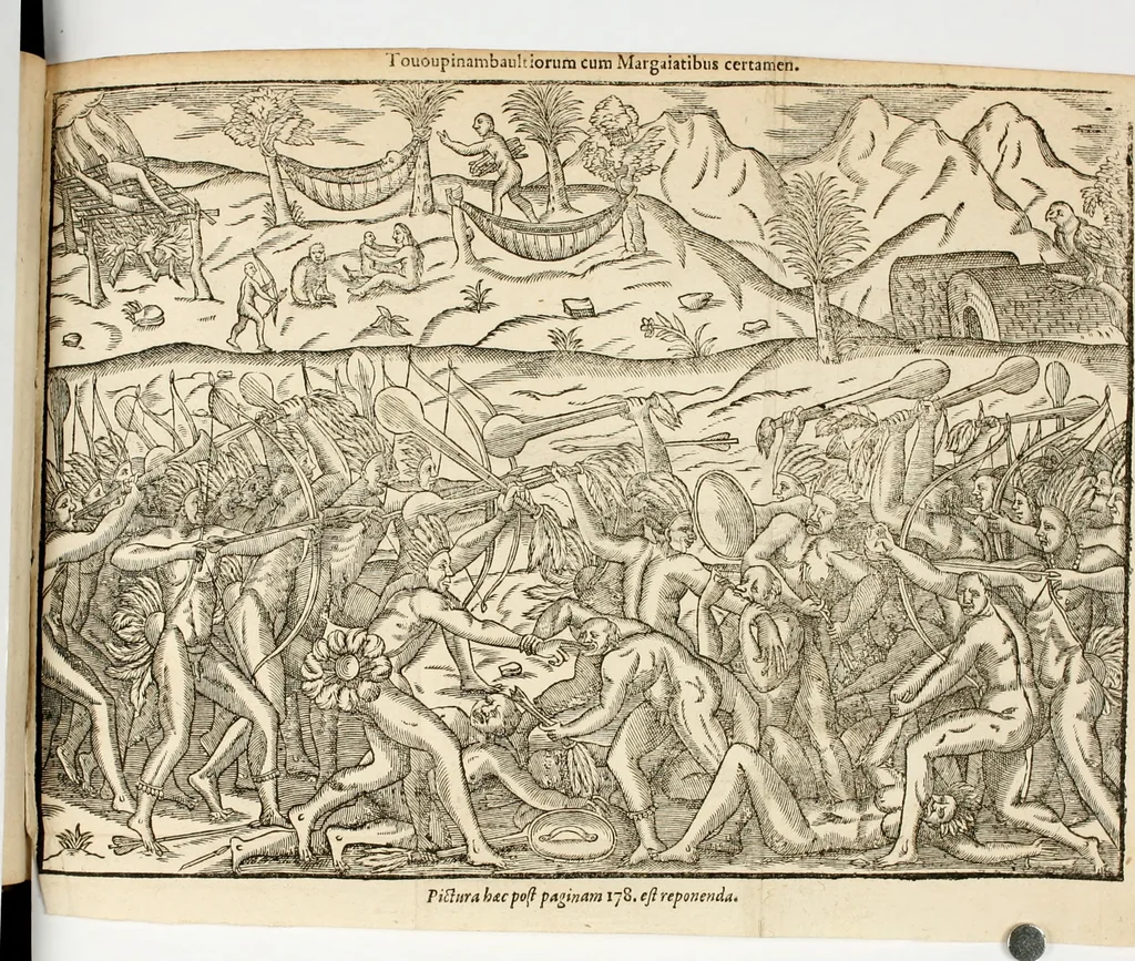 An illustration from Historia navigationis in Brasiliam quae et America dicitvr : qua describitvr avthoris navigatio, quaeque in mari vidit memoriae prodenda, Villagagnonis in America gesta : Brasiliensium victus & mores, à nostris admodum alieni, cum eorum linguae dialogo : animalia etiam, arbores atque herbae, reliquaque singularia & nobis penitus incognita, 1594, leaf 243