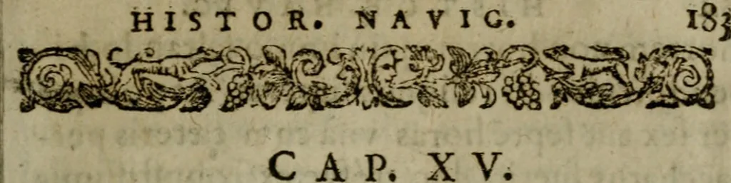 An illustration from Historia navigationis in Brasiliam quae et America dicitvr : qua describitvr avthoris navigatio, quaeque in mari vidit memoriae prodenda, Villagagnonis in America gesta : Brasiliensium victus & mores, à nostris admodum alieni, cum eorum linguae dialogo : animalia etiam, arbores atque herbae, reliquaque singularia & nobis penitus incognita, 1594, leaf 248
