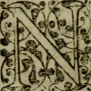 An illustration from Historia navigationis in Brasiliam quae et America dicitvr : qua describitvr avthoris navigatio, quaeque in mari vidit memoriae prodenda, Villagagnonis in America gesta : Brasiliensium victus & mores, à nostris admodum alieni, cum eorum linguae dialogo : animalia etiam, arbores atque herbae, reliquaque singularia & nobis penitus incognita, 1594, leaf 248
