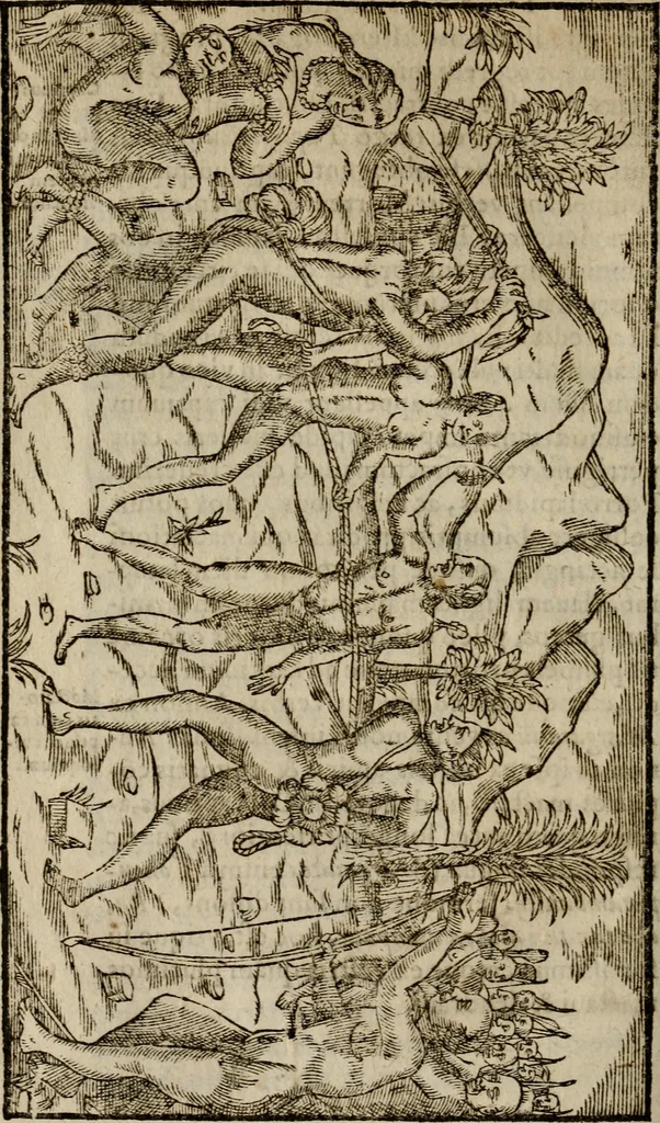 An illustration from Historia navigationis in Brasiliam quae et America dicitvr : qua describitvr avthoris navigatio, quaeque in mari vidit memoriae prodenda, Villagagnonis in America gesta : Brasiliensium victus & mores, à nostris admodum alieni, cum eorum linguae dialogo : animalia etiam, arbores atque herbae, reliquaque singularia & nobis penitus incognita, 1594, leaf 251