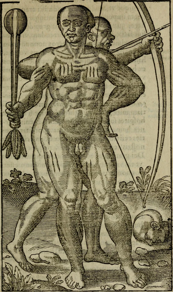 An illustration from Historia navigationis in Brasiliam quae et America dicitvr : qua describitvr avthoris navigatio, quaeque in mari vidit memoriae prodenda, Villagagnonis in America gesta : Brasiliensium victus & mores, à nostris admodum alieni, cum eorum linguae dialogo : animalia etiam, arbores atque herbae, reliquaque singularia & nobis penitus incognita, 1594, leaf 258