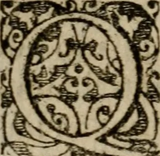 An illustration from Historia navigationis in Brasiliam quae et America dicitvr : qua describitvr avthoris navigatio, quaeque in mari vidit memoriae prodenda, Villagagnonis in America gesta : Brasiliensium victus & mores, à nostris admodum alieni, cum eorum linguae dialogo : animalia etiam, arbores atque herbae, reliquaque singularia & nobis penitus incognita, 1594, leaf 285