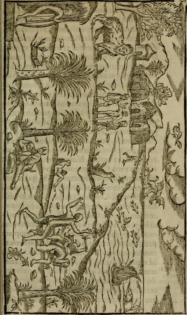 An illustration from Historia navigationis in Brasiliam quae et America dicitvr : qua describitvr avthoris navigatio, quaeque in mari vidit memoriae prodenda, Villagagnonis in America gesta : Brasiliensium victus & mores, à nostris admodum alieni, cum eorum linguae dialogo : animalia etiam, arbores atque herbae, reliquaque singularia & nobis penitus incognita, 1594, leaf 290