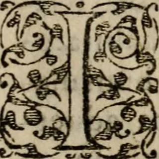 An illustration from Historia navigationis in Brasiliam quae et America dicitvr : qua describitvr avthoris navigatio, quaeque in mari vidit memoriae prodenda, Villagagnonis in America gesta : Brasiliensium victus & mores, à nostris admodum alieni, cum eorum linguae dialogo : animalia etiam, arbores atque herbae, reliquaque singularia & nobis penitus incognita, 1594, leaf 315