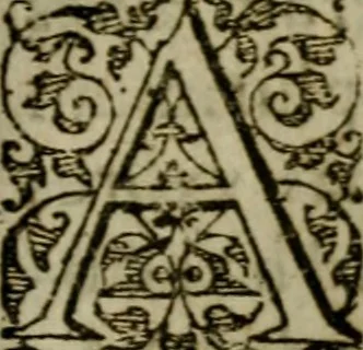 An illustration from Historia navigationis in Brasiliam quae et America dicitvr : qua describitvr avthoris navigatio, quaeque in mari vidit memoriae prodenda, Villagagnonis in America gesta : Brasiliensium victus & mores, à nostris admodum alieni, cum eorum linguae dialogo : animalia etiam, arbores atque herbae, reliquaque singularia & nobis penitus incognita, 1594, leaf 324