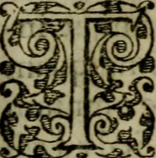 An illustration from Historia navigationis in Brasiliam quae et America dicitvr : qua describitvr avthoris navigatio, quaeque in mari vidit memoriae prodenda, Villagagnonis in America gesta : Brasiliensium victus & mores, à nostris admodum alieni, cum eorum linguae dialogo : animalia etiam, arbores atque herbae, reliquaque singularia & nobis penitus incognita, 1594, leaf 346