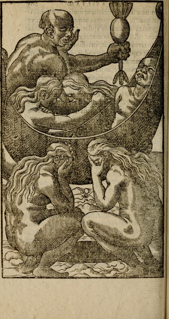 An illustration from Historia navigationis in Brasiliam quae et America dicitvr : qua describitvr avthoris navigatio, quaeque in mari vidit memoriae prodenda, Villagagnonis in America gesta : Brasiliensium victus & mores, à nostris admodum alieni, cum eorum linguae dialogo : animalia etiam, arbores atque herbae, reliquaque singularia & nobis penitus incognita, 1594, leaf 349