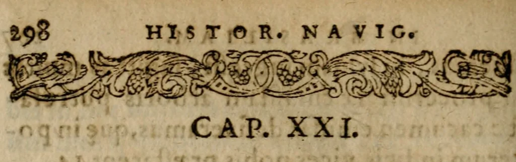 An illustration from Historia navigationis in Brasiliam quae et America dicitvr : qua describitvr avthoris navigatio, quaeque in mari vidit memoriae prodenda, Villagagnonis in America gesta : Brasiliensium victus & mores, à nostris admodum alieni, cum eorum linguae dialogo : animalia etiam, arbores atque herbae, reliquaque singularia & nobis penitus incognita, 1594, leaf 381