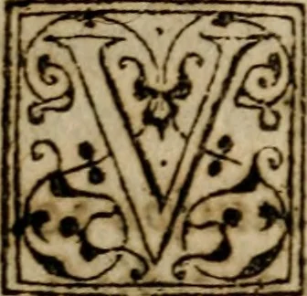 An illustration from Historia navigationis in Brasiliam quae et America dicitvr : qua describitvr avthoris navigatio, quaeque in mari vidit memoriae prodenda, Villagagnonis in America gesta : Brasiliensium victus & mores, à nostris admodum alieni, cum eorum linguae dialogo : animalia etiam, arbores atque herbae, reliquaque singularia & nobis penitus incognita, 1594, leaf 381