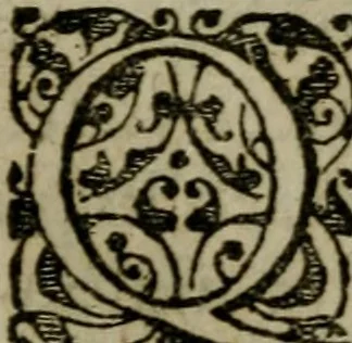 An illustration from Historia navigationis in Brasiliam quae et America dicitvr : qua describitvr avthoris navigatio, quaeque in mari vidit memoriae prodenda, Villagagnonis in America gesta : Brasiliensium victus & mores, à nostris admodum alieni, cum eorum linguae dialogo : animalia etiam, arbores atque herbae, reliquaque singularia & nobis penitus incognita, 1594, leaf 64