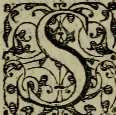 An illustration from Historia navigationis in Brasiliam quae et America dicitvr : qua describitvr avthoris navigatio, quaeque in mari vidit memoriae prodenda, Villagagnonis in America gesta : Brasiliensium victus & mores, à nostris admodum alieni, cum eorum linguae dialogo : animalia etiam, arbores atque herbae, reliquaque singularia & nobis penitus incognita, 1594, leaf 8