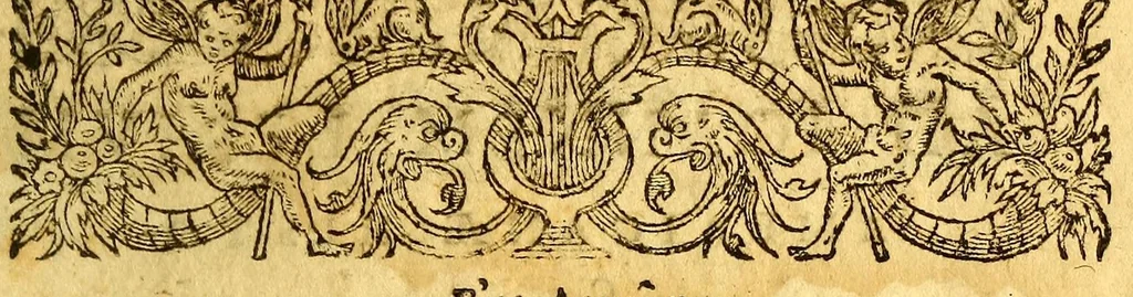 An illustration from Historia navigationis in Brasiliam quae et America dicitur. : Qua describitur authoris nauigatio, quaeque in mari vidit memoriae prodenda: Villagagnonis in America gesta: Brasiliensium victus & mores, à nostris admodum alieni, cum eorum linguae dialogo: animalia etiam, arbores, atque herbae reliquáque singularia & nobis penitus incognita., 1594, leaf 15