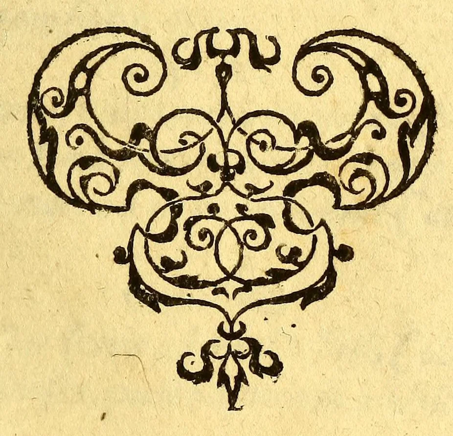 An illustration from Historia navigationis in Brasiliam quae et America dicitur. : Qua describitur authoris nauigatio, quaeque in mari vidit memoriae prodenda: Villagagnonis in America gesta: Brasiliensium victus & mores, à nostris admodum alieni, cum eorum linguae dialogo: animalia etiam, arbores, atque herbae reliquáque singularia & nobis penitus incognita., 1594, leaf 17