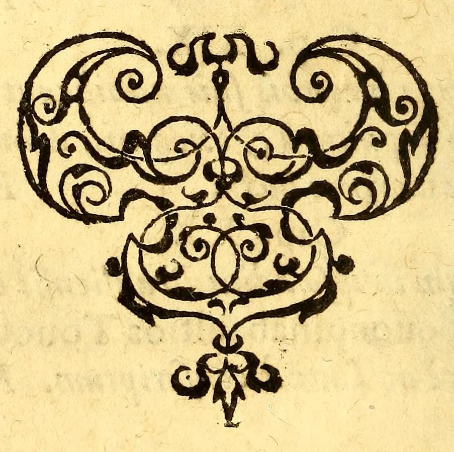 An illustration from Historia navigationis in Brasiliam quae et America dicitur. : Qua describitur authoris nauigatio, quaeque in mari vidit memoriae prodenda: Villagagnonis in America gesta: Brasiliensium victus & mores, à nostris admodum alieni, cum eorum linguae dialogo: animalia etiam, arbores, atque herbae reliquáque singularia & nobis penitus incognita., 1594, leaf 22
