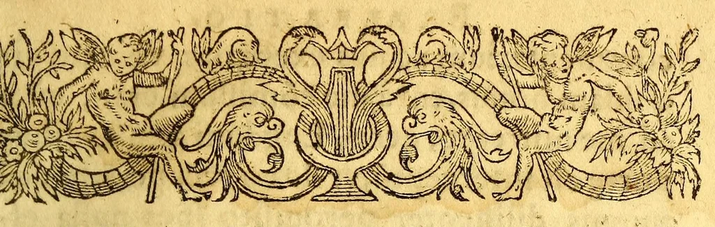 An illustration from Historia navigationis in Brasiliam quae et America dicitur. : Qua describitur authoris nauigatio, quaeque in mari vidit memoriae prodenda: Villagagnonis in America gesta: Brasiliensium victus & mores, à nostris admodum alieni, cum eorum linguae dialogo: animalia etiam, arbores, atque herbae reliquáque singularia & nobis penitus incognita., 1594, leaf 23