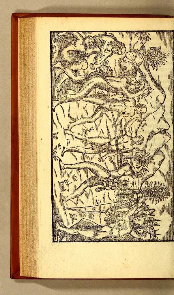 An illustration from Historia navigationis in Brasiliam quae et America dicitur. : Qua describitur authoris nauigatio, quaeque in mari vidit memoriae prodenda: Villagagnonis in America gesta: Brasiliensium victus & mores, à nostris admodum alieni, cum eorum linguae dialogo: animalia etiam, arbores, atque herbae reliquáque singularia & nobis penitus incognita., 1594, leaf 252