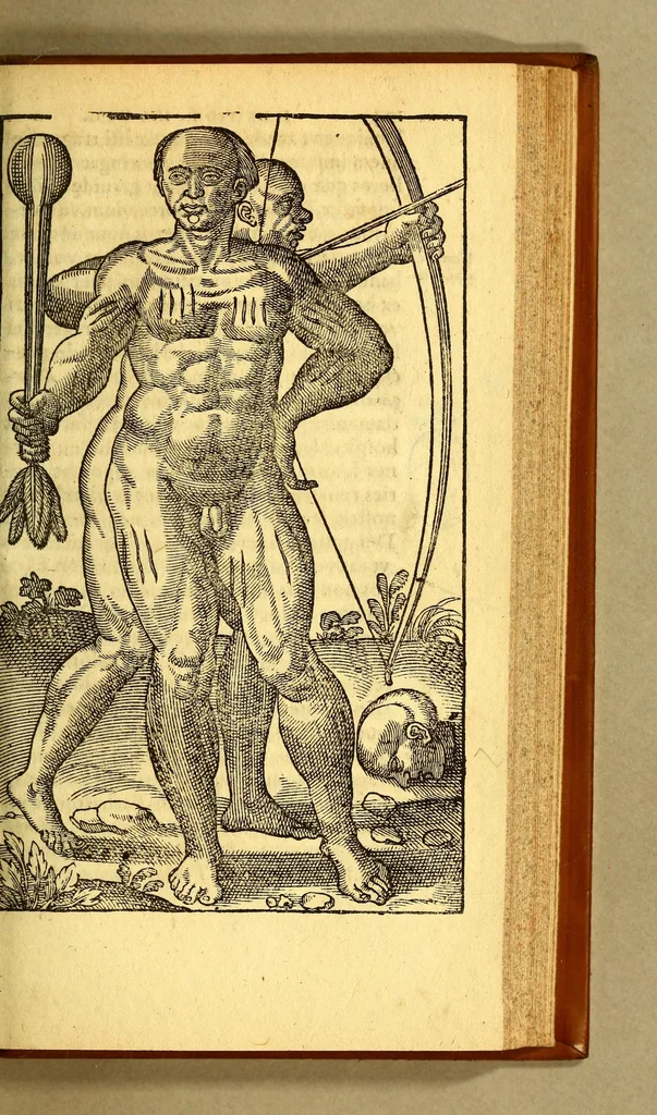 An illustration from Historia navigationis in Brasiliam quae et America dicitur. : Qua describitur authoris nauigatio, quaeque in mari vidit memoriae prodenda: Villagagnonis in America gesta: Brasiliensium victus & mores, à nostris admodum alieni, cum eorum linguae dialogo: animalia etiam, arbores, atque herbae reliquáque singularia & nobis penitus incognita., 1594, leaf 259