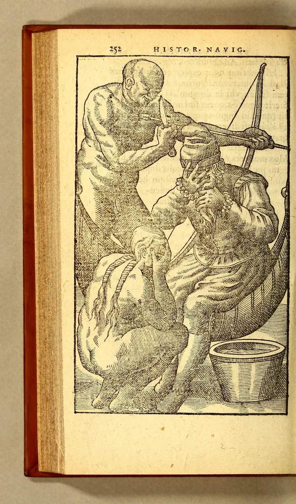 An illustration from Historia navigationis in Brasiliam quae et America dicitur. : Qua describitur authoris nauigatio, quaeque in mari vidit memoriae prodenda: Villagagnonis in America gesta: Brasiliensium victus & mores, à nostris admodum alieni, cum eorum linguae dialogo: animalia etiam, arbores, atque herbae reliquáque singularia & nobis penitus incognita., 1594, leaf 338