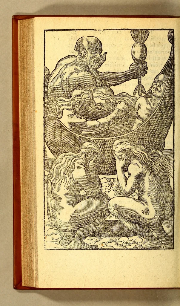 An illustration from Historia navigationis in Brasiliam quae et America dicitur. : Qua describitur authoris nauigatio, quaeque in mari vidit memoriae prodenda: Villagagnonis in America gesta: Brasiliensium victus & mores, à nostris admodum alieni, cum eorum linguae dialogo: animalia etiam, arbores, atque herbae reliquáque singularia & nobis penitus incognita., 1594, leaf 352