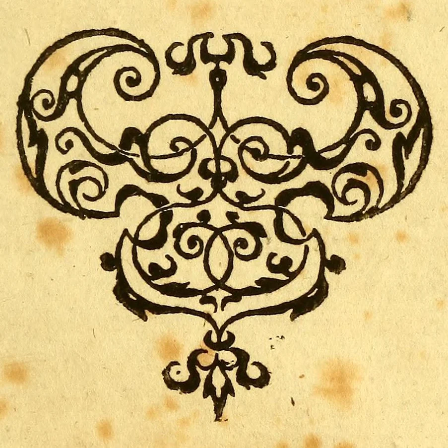 An illustration from Historia navigationis in Brasiliam quae et America dicitur. : Qua describitur authoris nauigatio, quaeque in mari vidit memoriae prodenda: Villagagnonis in America gesta: Brasiliensium victus & mores, à nostris admodum alieni, cum eorum linguae dialogo: animalia etiam, arbores, atque herbae reliquáque singularia & nobis penitus incognita., 1594, leaf 441