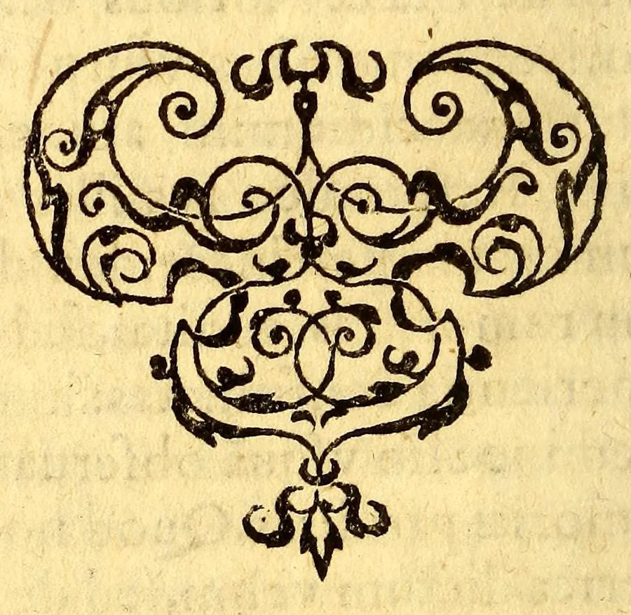 An illustration from Historia navigationis in Brasiliam quae et America dicitur. : Qua describitur authoris nauigatio, quaeque in mari vidit memoriae prodenda: Villagagnonis in America gesta: Brasiliensium victus & mores, à nostris admodum alieni, cum eorum linguae dialogo: animalia etiam, arbores, atque herbae reliquáque singularia & nobis penitus incognita., 1594, leaf 64