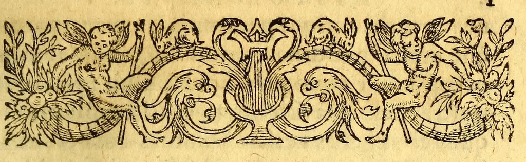 An illustration from Historia navigationis in Brasiliam quae et America dicitur. : Qua describitur authoris nauigatio, quaeque in mari vidit memoriae prodenda: Villagagnonis in America gesta: Brasiliensium victus & mores, à nostris admodum alieni, cum eorum linguae dialogo: animalia etiam, arbores, atque herbae reliquáque singularia & nobis penitus incognita., 1594, leaf 65