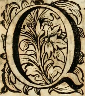 An illustration from Historica notitia rerum Boicarum : symbolis ac figuris aeneis illustrata : in funere Caroli VII. Romanorum Imperatoris semp. aug. virtutum triumpho, solemnium quondam occasione exequiarum, accommodata : cui accedit in fine oratio funebris in laudem optimi ejusdem Caesaris, anno 1745 habita, 1746, leaf 16