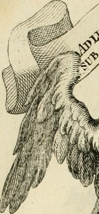 An illustration from Historica notitia rerum Boicarum : symbolis ac figuris aeneis illustrata : in funere Caroli VII. Romanorum Imperatoris semp. aug. virtutum triumpho, solemnium quondam occasione exequiarum, accommodata : cui accedit in fine oratio funebris in laudem optimi ejusdem Caesaris, anno 1745 habita, 1746, leaf 20