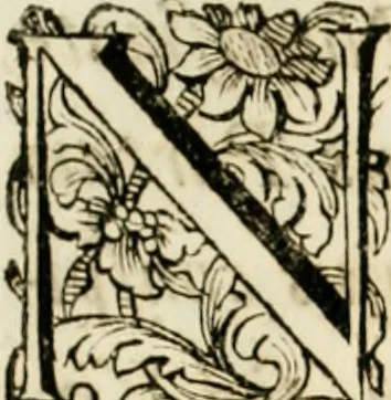An illustration from Historica notitia rerum Boicarum : symbolis ac figuris aeneis illustrata : in funere Caroli VII. Romanorum Imperatoris semp. aug. virtutum triumpho, solemnium quondam occasione exequiarum, accommodata : cui accedit in fine oratio funebris in laudem optimi ejusdem Caesaris, anno 1745 habita, 1746, leaf 29