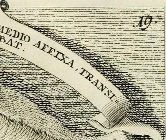 An illustration from Historica notitia rerum Boicarum : symbolis ac figuris aeneis illustrata : in funere Caroli VII. Romanorum Imperatoris semp. aug. virtutum triumpho, solemnium quondam occasione exequiarum, accommodata : cui accedit in fine oratio funebris in laudem optimi ejusdem Caesaris, anno 1745 habita, 1746, leaf 38