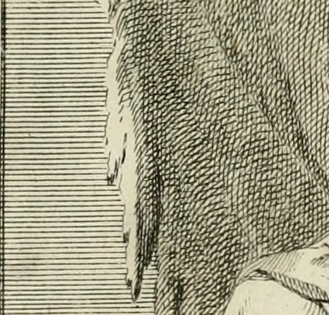 An illustration from Historica notitia rerum Boicarum : symbolis ac figuris aeneis illustrata : in funere Caroli VII. Romanorum Imperatoris semp. aug. virtutum triumpho, solemnium quondam occasione exequiarum, accommodata : cui accedit in fine oratio funebris in laudem optimi ejusdem Caesaris, anno 1745 habita, 1746, leaf 40