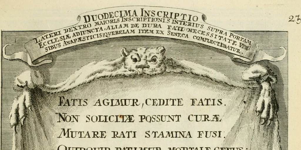 An illustration from Historica notitia rerum Boicarum : symbolis ac figuris aeneis illustrata : in funere Caroli VII. Romanorum Imperatoris semp. aug. virtutum triumpho, solemnium quondam occasione exequiarum, accommodata : cui accedit in fine oratio funebris in laudem optimi ejusdem Caesaris, anno 1745 habita, 1746, leaf 42
