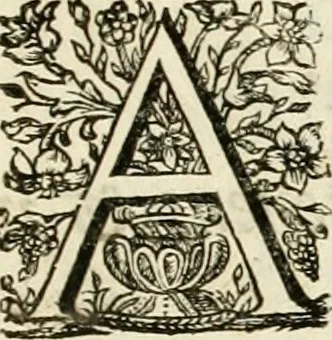 An illustration from Historica notitia rerum Boicarum : symbolis ac figuris aeneis illustrata : in funere Caroli VII. Romanorum Imperatoris semp. aug. virtutum triumpho, solemnium quondam occasione exequiarum, accommodata : cui accedit in fine oratio funebris in laudem optimi ejusdem Caesaris, anno 1745 habita, 1746, leaf 46