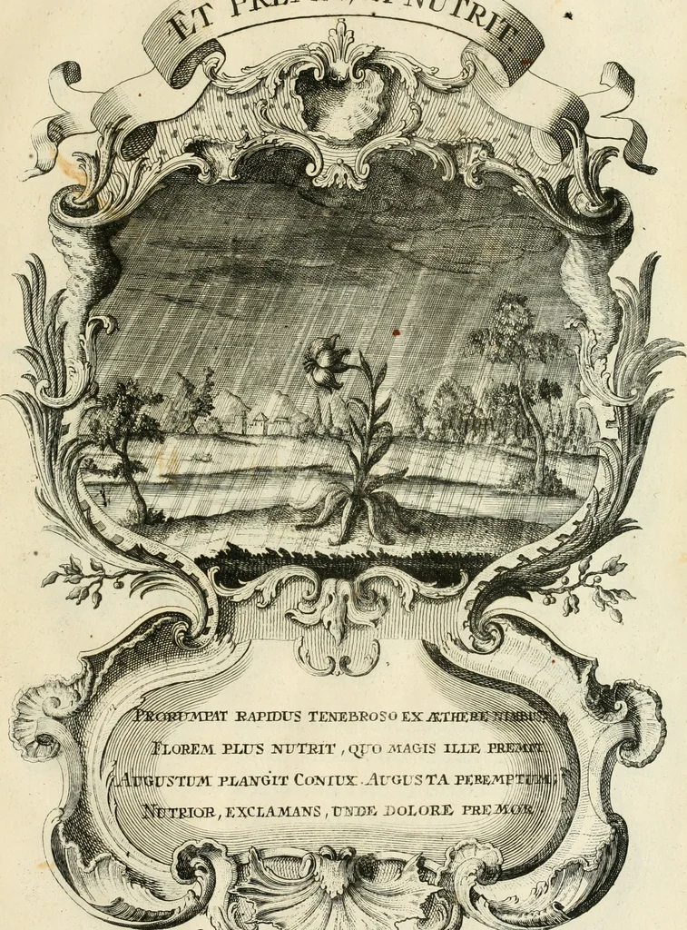 An illustration from Historica notitia rerum Boicarum : symbolis ac figuris aeneis illustrata : in funere Caroli VII. Romanorum Imperatoris semp. aug. virtutum triumpho, solemnium quondam occasione exequiarum, accommodata : cui accedit in fine oratio funebris in laudem optimi ejusdem Caesaris, anno 1745 habita, 1746, leaf 76