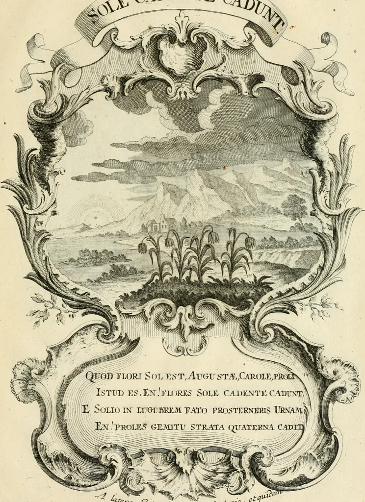 An illustration from Historica notitia rerum Boicarum : symbolis ac figuris aeneis illustrata : in funere Caroli VII. Romanorum Imperatoris semp. aug. virtutum triumpho, solemnium quondam occasione exequiarum, accommodata : cui accedit in fine oratio funebris in laudem optimi ejusdem Caesaris, anno 1745 habita, 1746, leaf 78