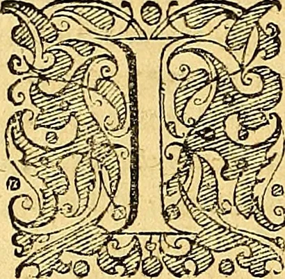 An illustration from Historia novi et admirabilis fontis balneique Bollensis in Ducatu Vvirtembergico ad acidulas Goepingenses ..., 1598, leaf 113