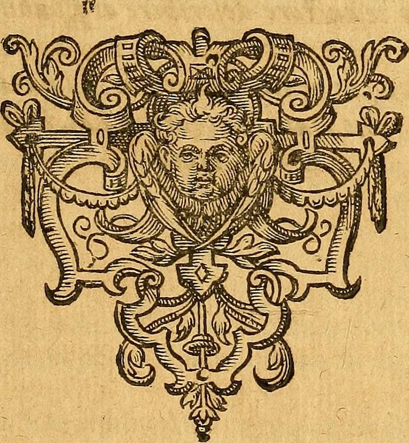 An illustration from Historia novi et admirabilis fontis balneique Bollensis in Ducatu Vvirtembergico ad acidulas Goepingenses ..., 1598, leaf 12