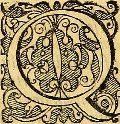 An illustration from Historia novi et admirabilis fontis balneique Bollensis in Ducatu Vvirtembergico ad acidulas Goepingenses ..., 1598, leaf 203