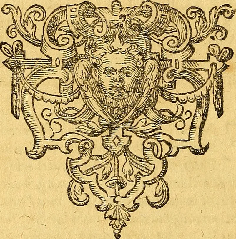 An illustration from Historia novi et admirabilis fontis balneique Bollensis in Ducatu Vvirtembergico ad acidulas Goepingenses ..., 1598, leaf 25