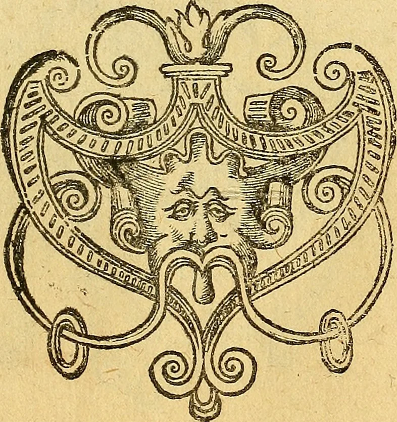 An illustration from Historia novi et admirabilis fontis balneique Bollensis in Ducatu Vvirtembergico ad acidulas Goepingenses ..., 1598, leaf 316