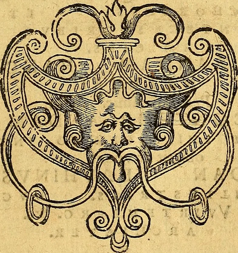An illustration from Historia novi et admirabilis fontis balneique Bollensis in Ducatu Vvirtembergico ad acidulas Goepingenses ..., 1598, leaf 318