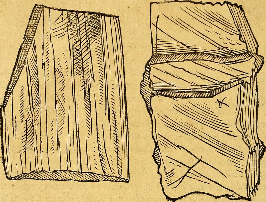 An illustration from Historia novi et admirabilis fontis balneique Bollensis in Ducatu Vvirtembergico ad acidulas Goepingenses ..., 1598, leaf 327