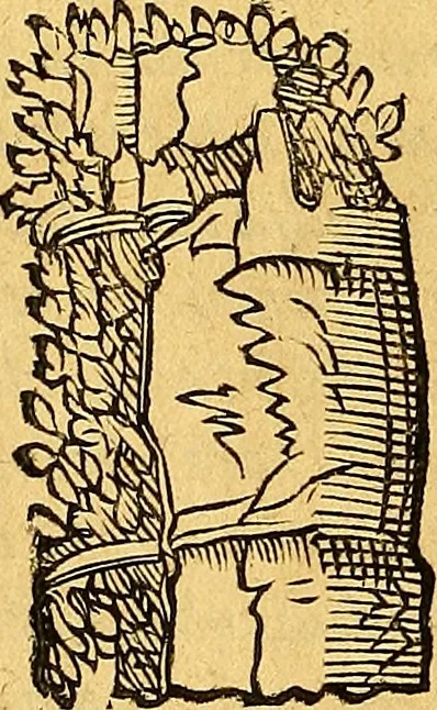 An illustration from Historia novi et admirabilis fontis balneique Bollensis in Ducatu Vvirtembergico ad acidulas Goepingenses ..., 1598, leaf 327